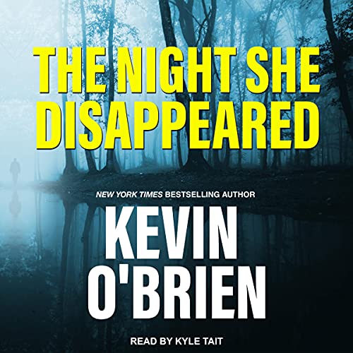 The Night She Disappeared cover art