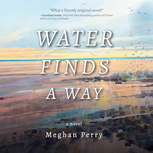 Water Finds a Way Audiolivro Por Meghan Perry capa