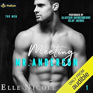 Meeting Mr. Anderson Audiobook By Elle Nicoll cover art