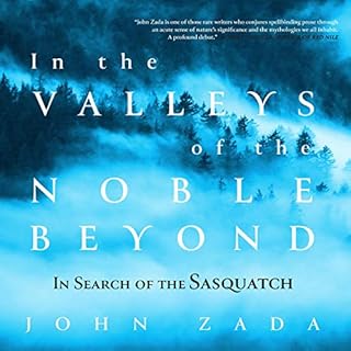 In the Valleys of the Noble Beyond Audiolibro Por John Zada arte de portada