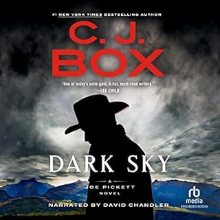 Dark Sky Audiolibro Por C. J. Box arte de portada