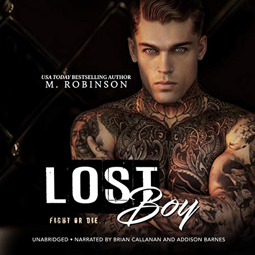 Lost Boy Audiolibro Por M. Robinson arte de portada