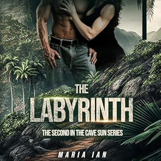 The Labyrinth cover art