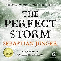 The Perfect Storm cover art