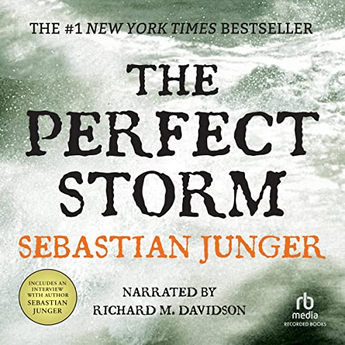 Page de couverture de The Perfect Storm