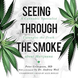 Seeing Through the Smoke Audiolibro Por Peter Grinspoon MD arte de portada