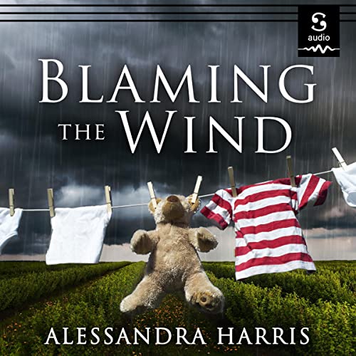 Blaming the Wind cover art