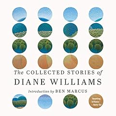 The Collected Stories of Diane Williams cover art