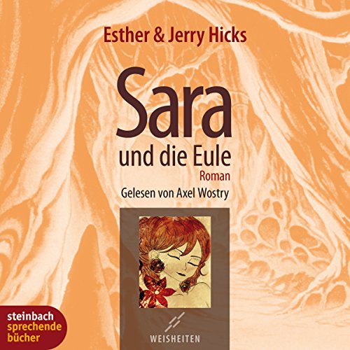 Sara und die Eule cover art