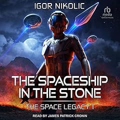 The Spaceship in the Stone Audiobook By Igor Nikolic cover art