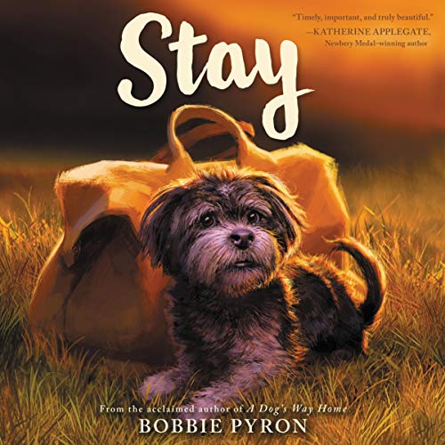 Stay Audiolibro Por Bobbie Pyron arte de portada