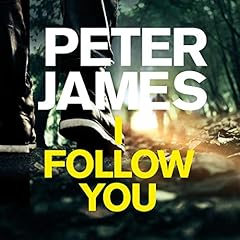 I Follow You cover art