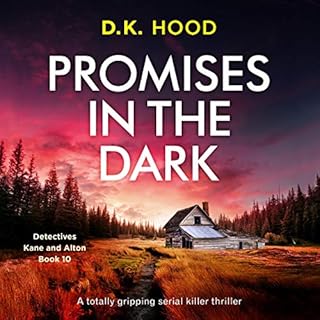 Promises in the Dark cover art