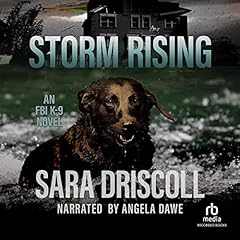 Storm Rising cover art