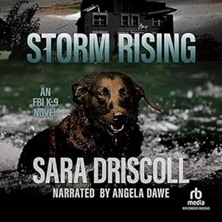 Storm Rising Audiolibro Por Sara Driscoll arte de portada