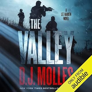 The Valley Audiobook By D.J. Molles cover art