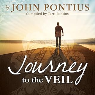 Journey to the Veil Audiolibro Por John Pontius arte de portada