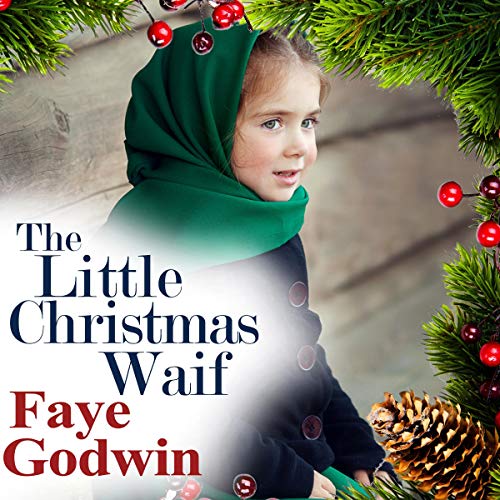 The Little Christmas Waif cover art