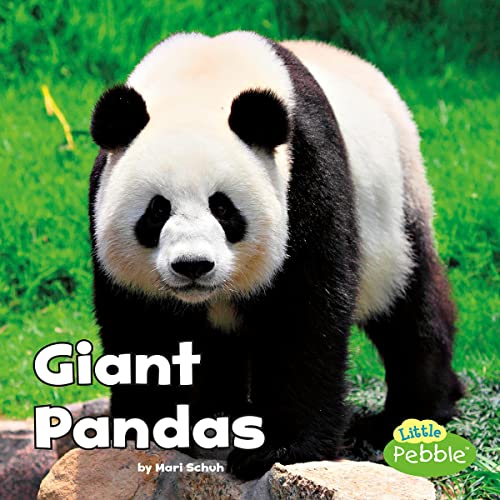 Giant Pandas cover art