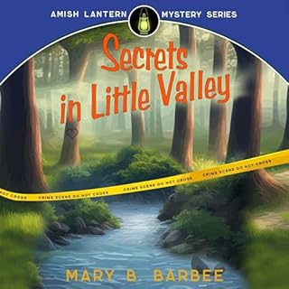 Secrets in Little Valley Audiobook By Mary B. Barbee cover art