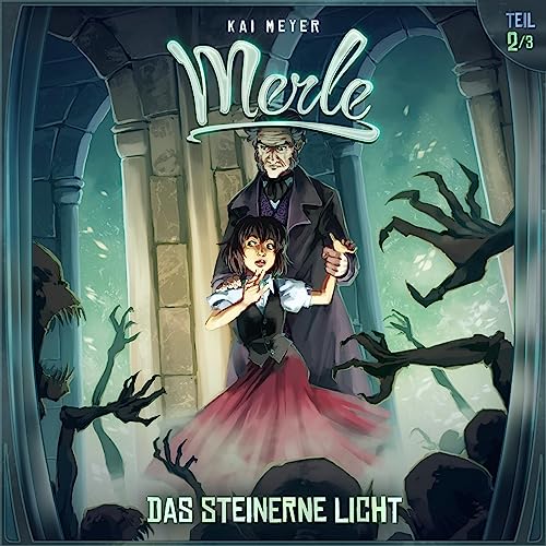 Couverture de Das Steinerne Licht