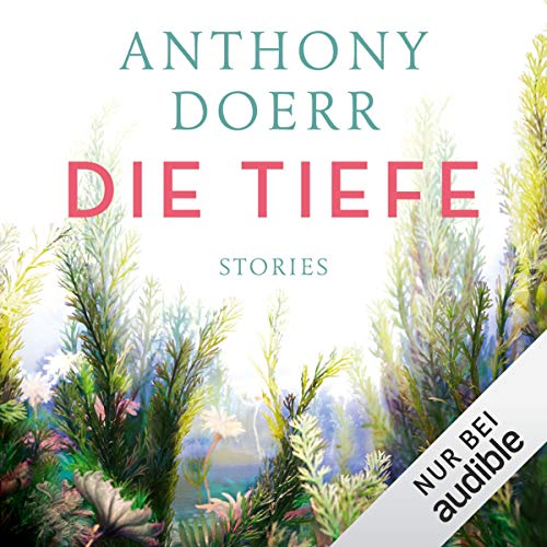 Die Tiefe: Stories Audiobook By Anthony Doerr cover art