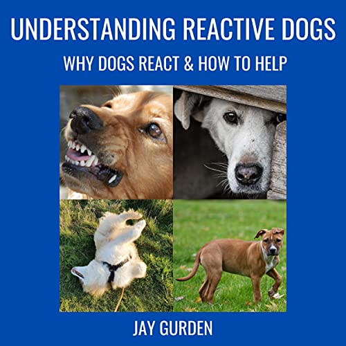 Understanding Reactive Dogs Audiobook By Jay Gurden cover art