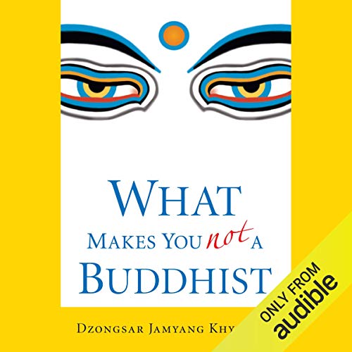 What Makes You Not a Buddhist cover art