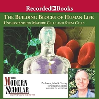 The Modern Scholar Audiobook By Professor John K. Young cover art