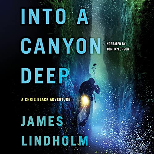 Into a Canyon Deep cover art