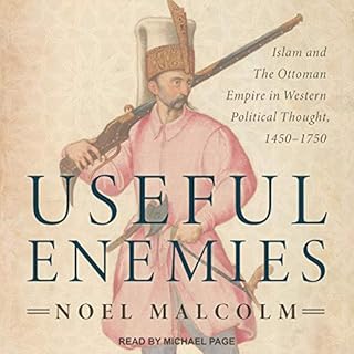 Useful Enemies Audiolibro Por Noel Malcolm arte de portada