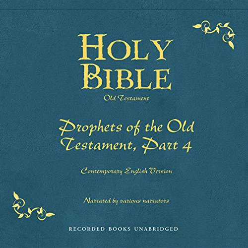 Holy Bible, Volume 17 cover art