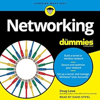 Networking for Dummies, 11th Edition Audiobook By Doug Lowe cover art