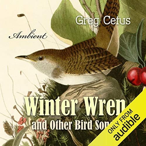 Winter Wren and Other Bird Songs cover art