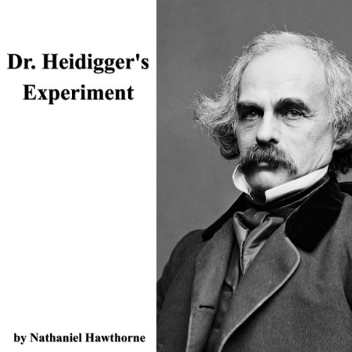 Dr. Heidigger's Experiment cover art