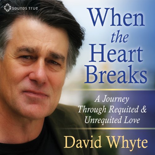 When the Heart Breaks Audiobook By David Whyte cover art