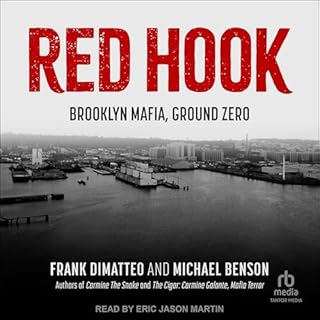 Red Hook Audiobook By Frank Dimatteo, Michael Benson cover art