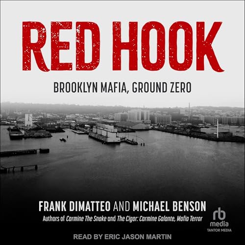 Red Hook Audiolibro Por Frank Dimatteo, Michael Benson arte de portada