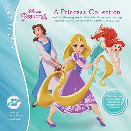 A Princess Collection cover art