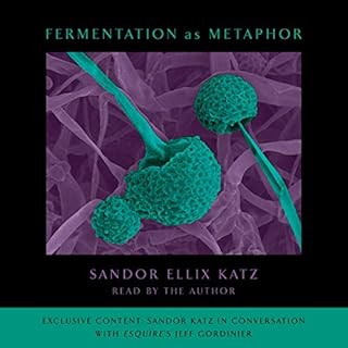 Couverture de Fermentation as Metaphor