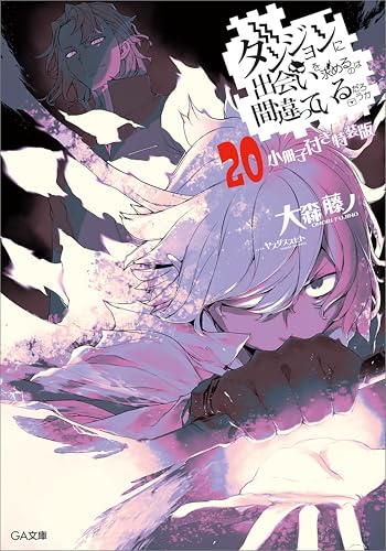 ダンジョンに出会いを求めるのは間違っているだろうか２０　小冊子付き特装版 (GA文庫)の商品画像