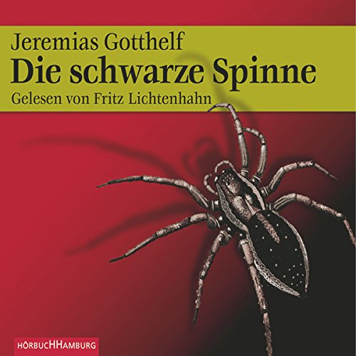 Die schwarze Spinne cover art