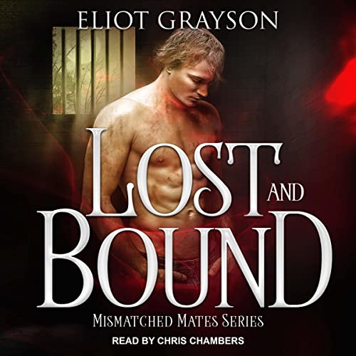 Couverture de Lost and Bound