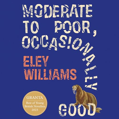 Moderate to Poor, Occasionally Good Audiobook By Eley Williams cover art