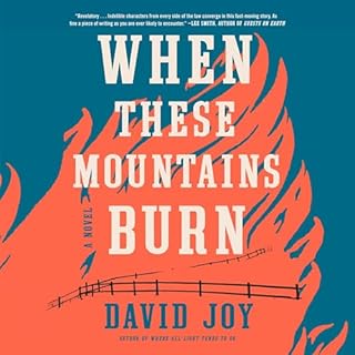 When These Mountains Burn Audiolibro Por David Joy arte de portada