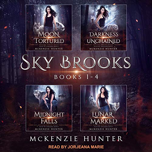 Sky Brooks: Books 1-4 Box Set cover art