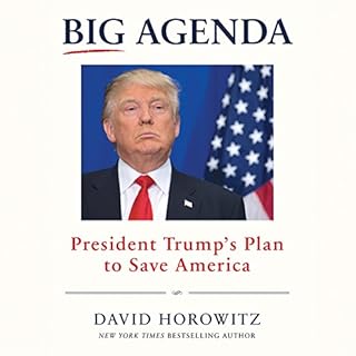 Big Agenda Audiolibro Por David Horowitz arte de portada