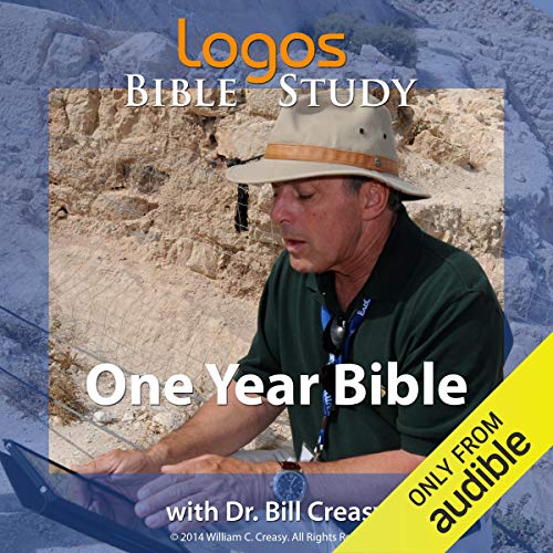 One Year Bible cover art