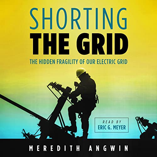 Page de couverture de Shorting the Grid