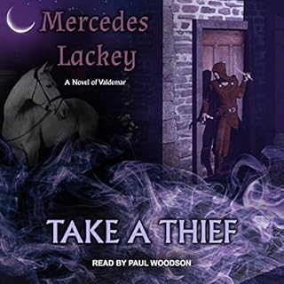 Take a Thief cover art